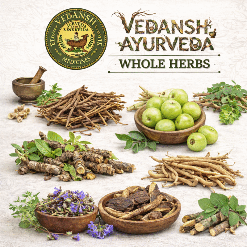 ChatGPT Image Feb 4 2026 11 32 33 AM